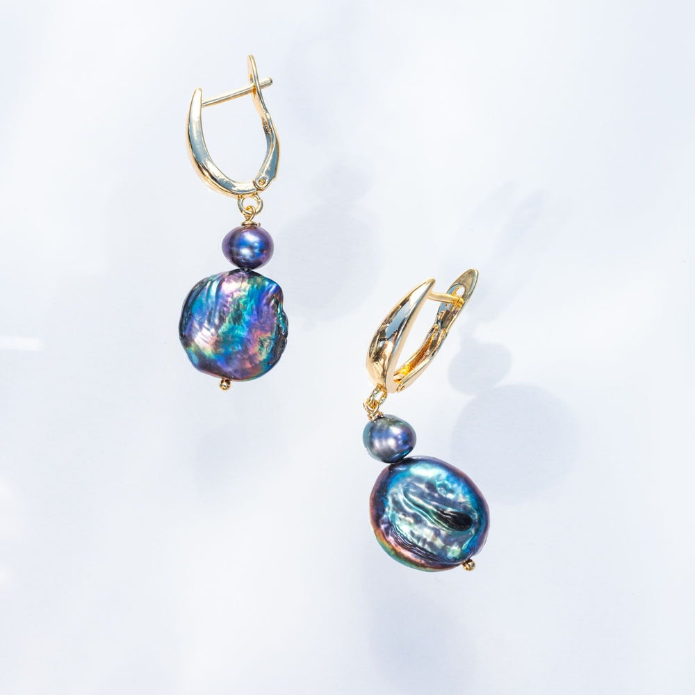 
            
                Load image into Gallery viewer, Aurora Borealis Earrings
            
        